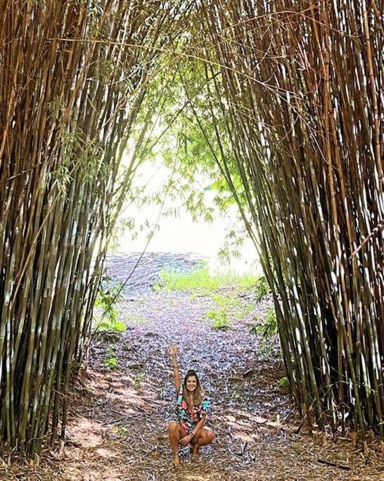 Recanto Dos Beija Flores, Chale Bougainville 몬테 알레그레 두 술 외부 사진